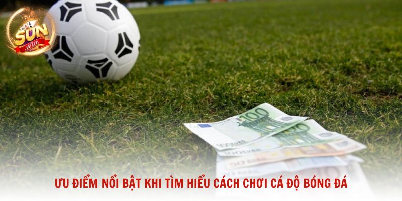 Ưu điểm nổi bật khi tìm hiểu cách chơi cá độ bóng đá