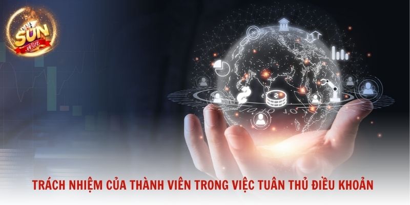 Trách nhiệm của thành viên trong việc tuân thủ điều khoản điều kiện