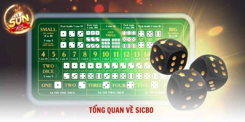 Tổng quan về Sicbo và lý do trò chơi luôn giữ được sức hút mạnh mẽ